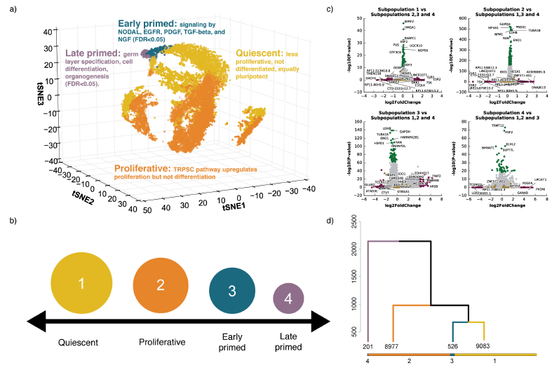 1529054846338014.png 單細胞測序,單細胞測序技術(shù),Drop-seq