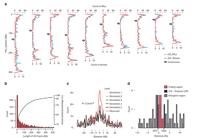 1529055253407467.png 單細胞測序,單細胞測序技術(shù),Drop-seq