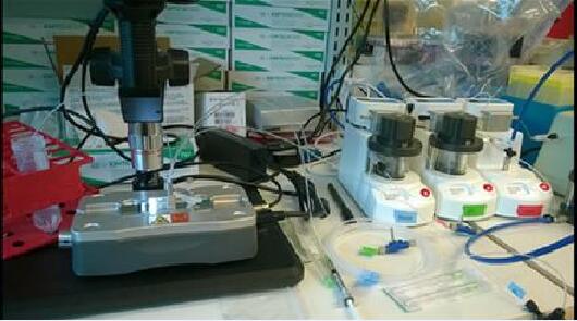 單細胞微流體服務實驗室